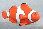 clown-fish