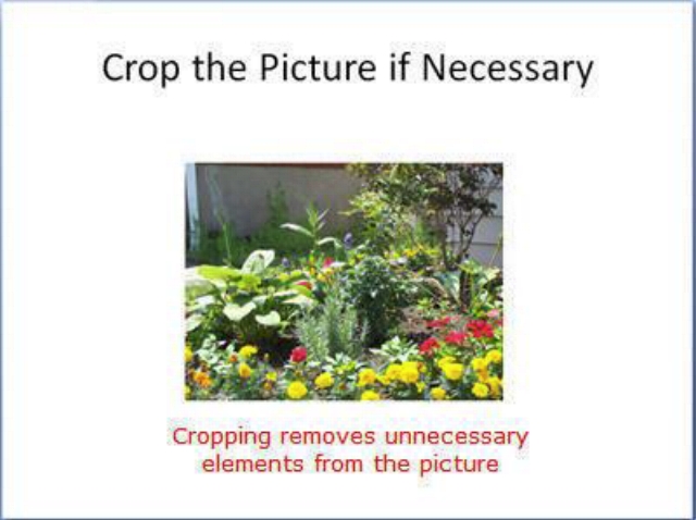 pp-crop-image