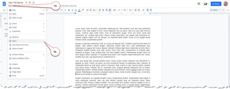 Google Docs - move a document
