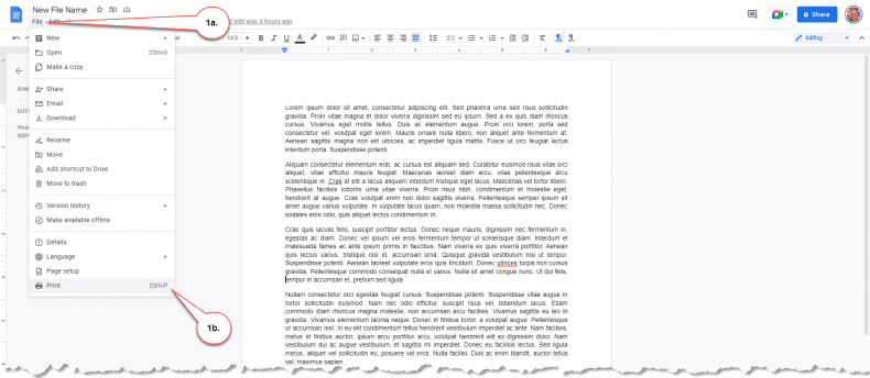Google Docs - print a document