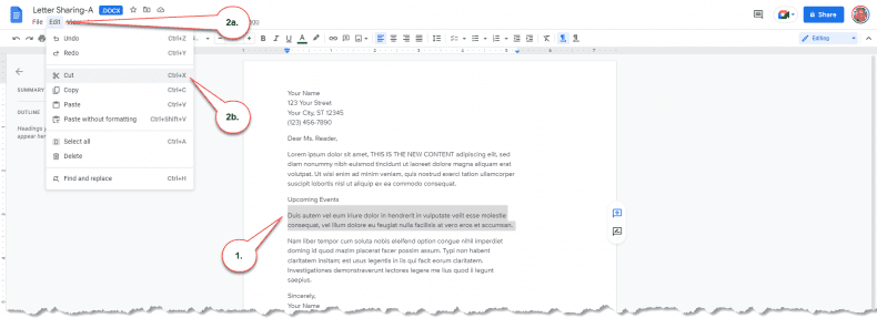 Google Docs - copy, cut, paste