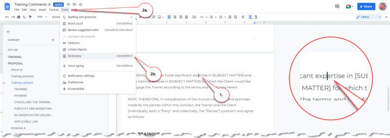 Google Docs - dictionary