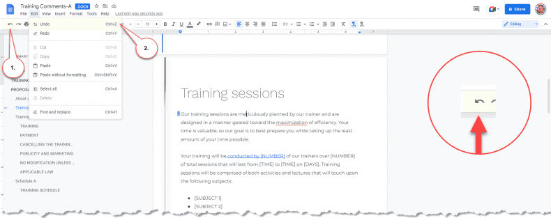 Google Docs - undo